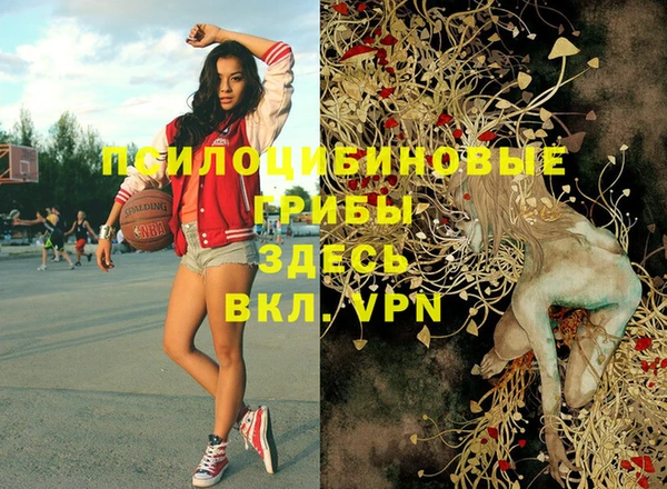 дурь Горняк