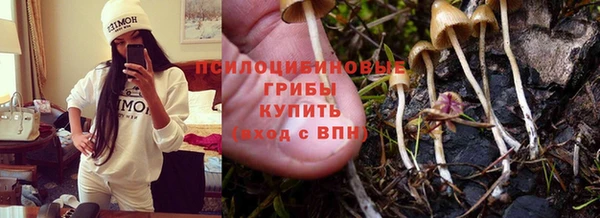 дурь Горняк