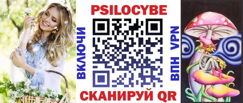 Псилоцибиновые грибы Psilocybe  Купить где  Алейск 